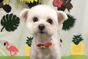 7月のお友達☆