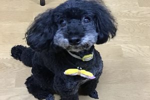 お泊まり中☆