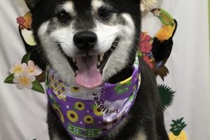 7月のお友達☆