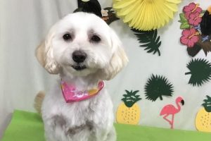 ７月のお友達☆