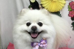 7月のお友達☆