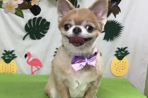 7月のお友達☆