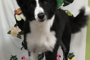 7月のお友達☆