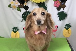 ７月のお友達☆
