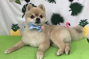 ７月のお友達☆