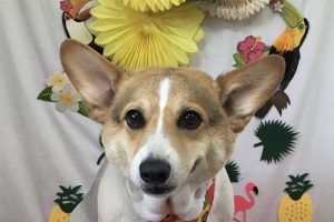 7月のお友達☆