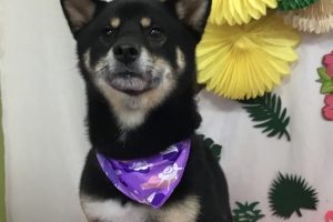 7月のお友達☆
