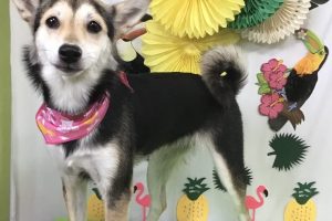 7月のお友達☆