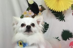 ７月のお友達☆