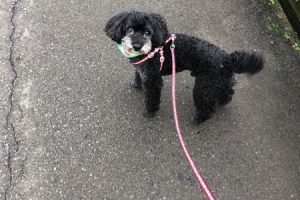 お泊り中☆