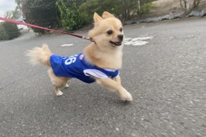 お泊まり中☆