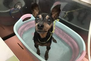 7月のお友達☆