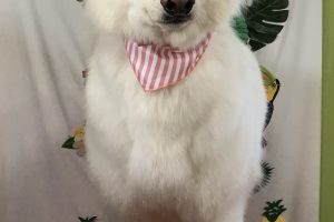 ７月のお友達☆