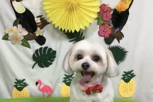 ７月のお友達☆