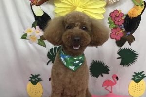 7月のお友達☆