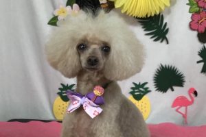 7月のお友達☆