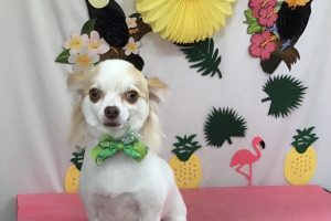 7月のお友達☆