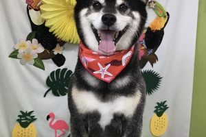 ７月のお友達☆