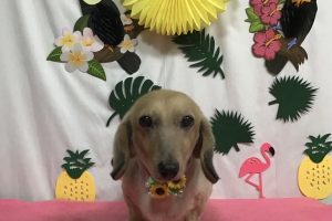 7月のお友達☆