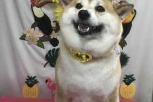 ７月のお友達☆