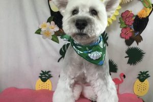 7月のお友達☆