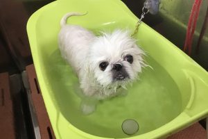 ７月のお友達☆