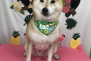 ７月のお友達☆