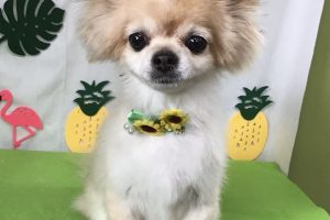 7月のお友達☆