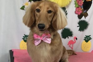 ７月のお友達☆