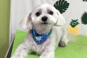 ７月のお友達☆
