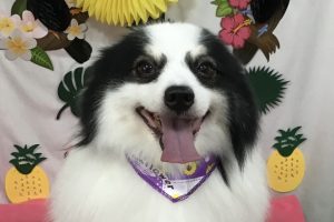 7月のお友達☆