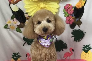 ７月のお友達☆