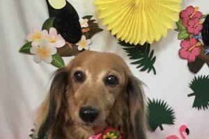 ７月のお友達☆