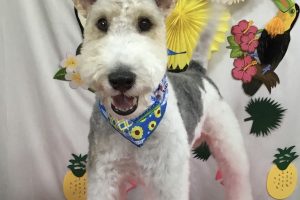 ７月のお友達☆