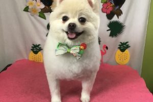７月のお友達☆
