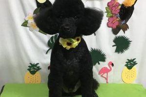 ７月のお友達☆