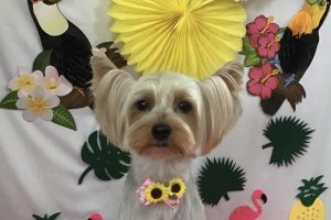 7月のお友達☆