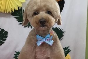 7月のお友達☆