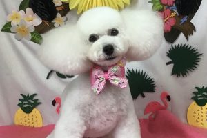 7月のお友達☆