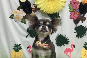 ７月のお友達☆
