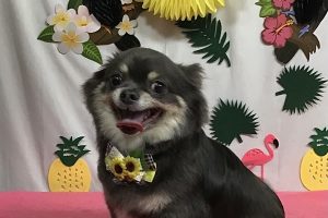 7月のお友達☆