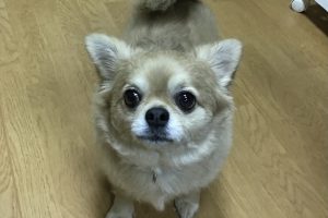 お泊まり中☆