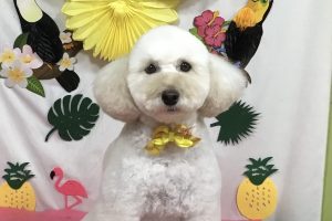 ７月のお友達☆