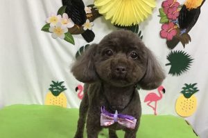 ７月のお友達☆
