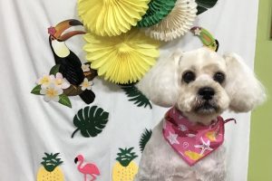 ７月のお友達☆