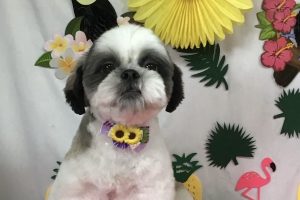 ７月のお友達☆
