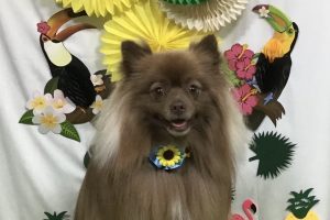 7月のお友達☆