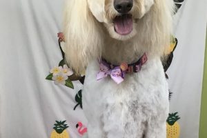 ７月のお友達☆