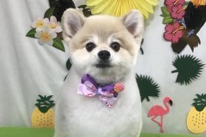 7月のお友達☆
