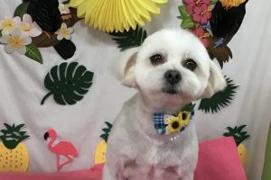 ７月のお友達☆